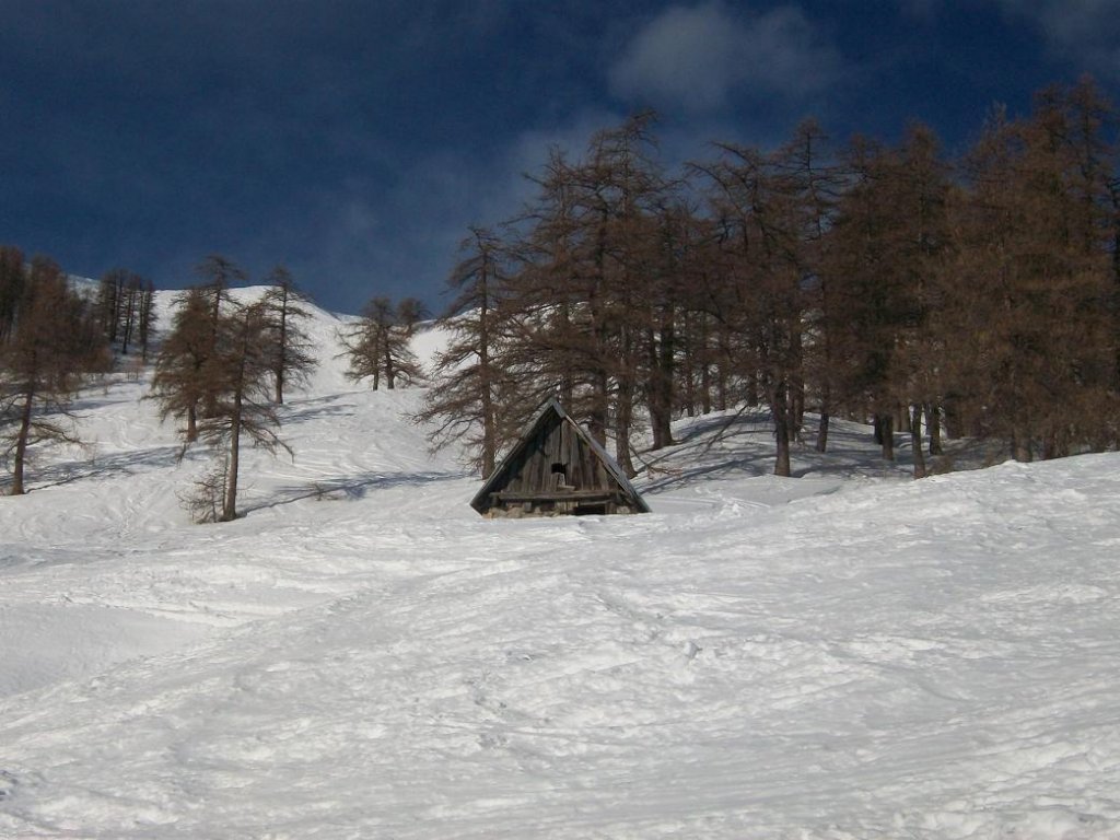 100_1460.JPG