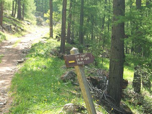 100_1682.JPG