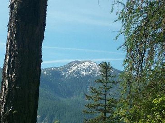 100_1694.JPG