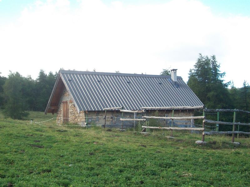 100_2220~0.JPG