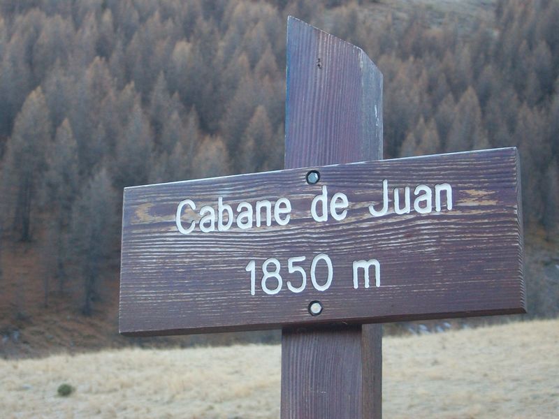 100_2554.jpg