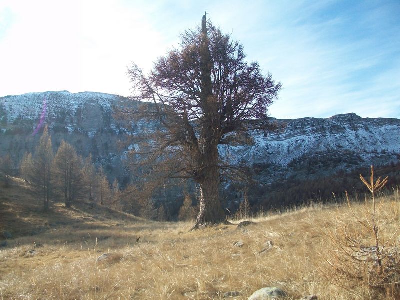 100_2556.jpg