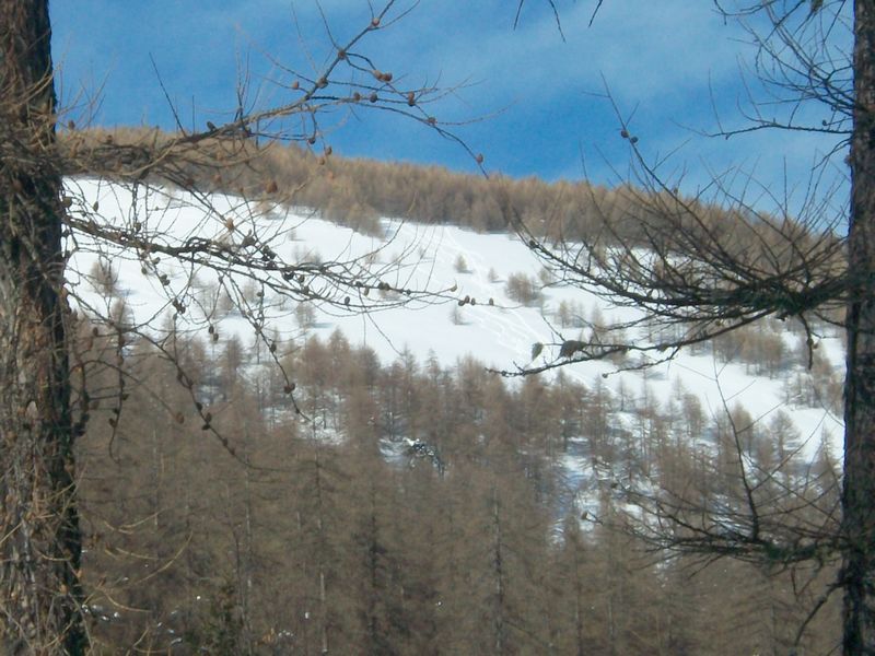 100_2840.jpg