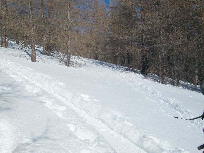 100_4133.jpg