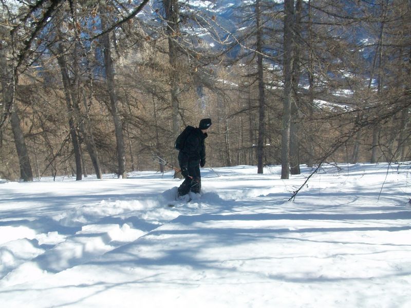 100_4138.jpg