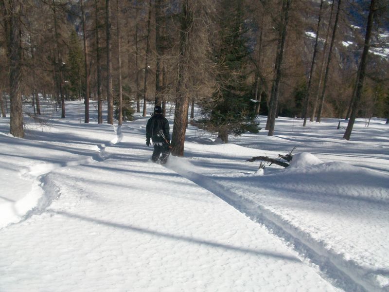 100_4141.jpg
