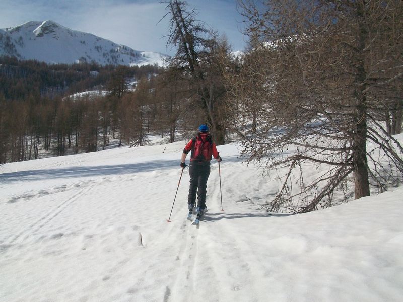 100_4990.jpg