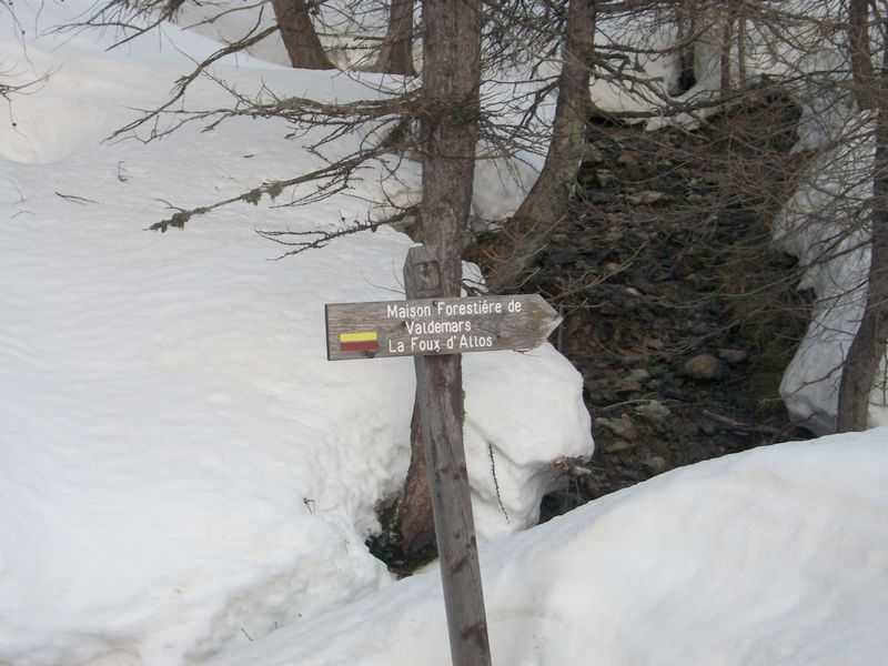 100_5029.jpg