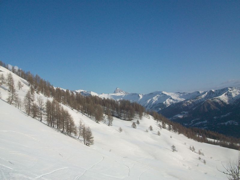 100_5036.jpg