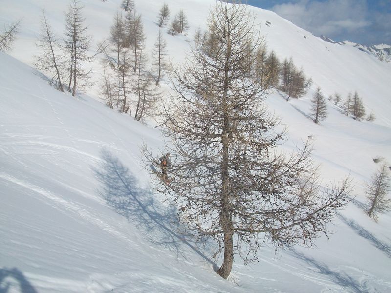 100_5052.jpg