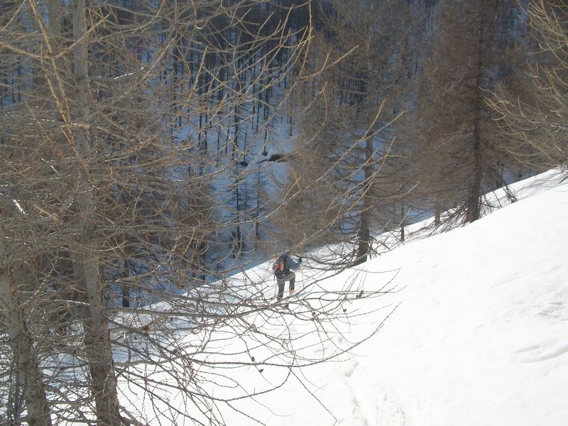 100_5056.jpg