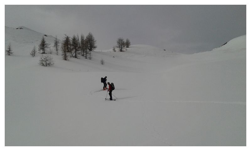 20150321_094443.jpg