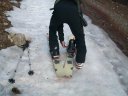 100_1568.JPG
