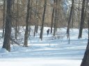 100_2839.jpg