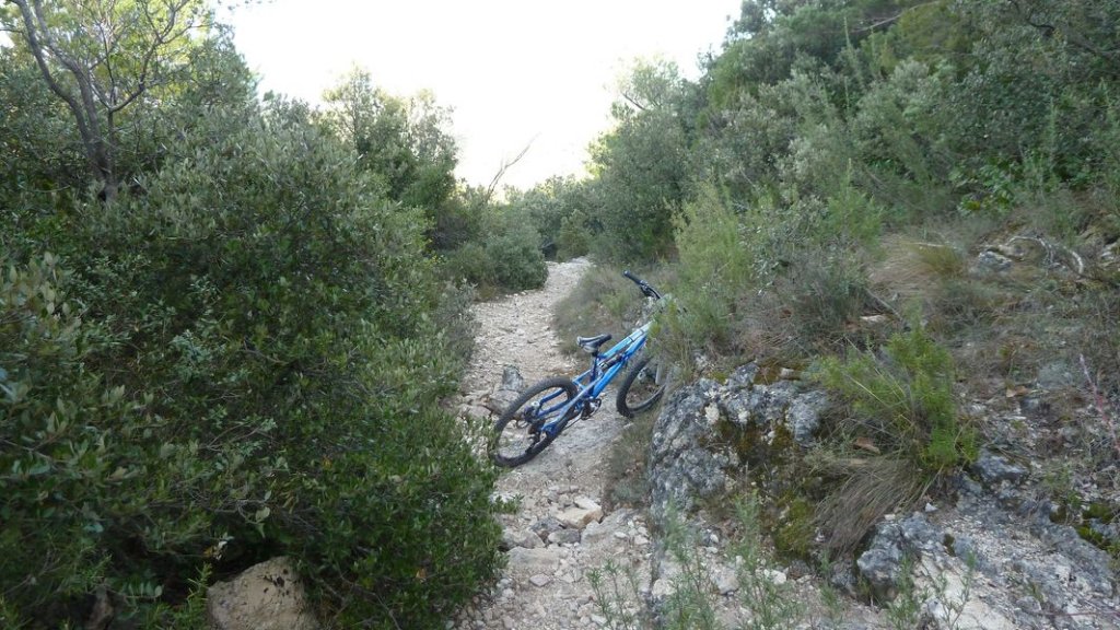 valbelle_janv_2012_050.jpg