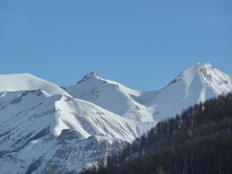 valdemars_dec_2011_047.jpg