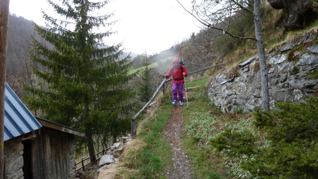 caduc_avril_2014_08.jpg