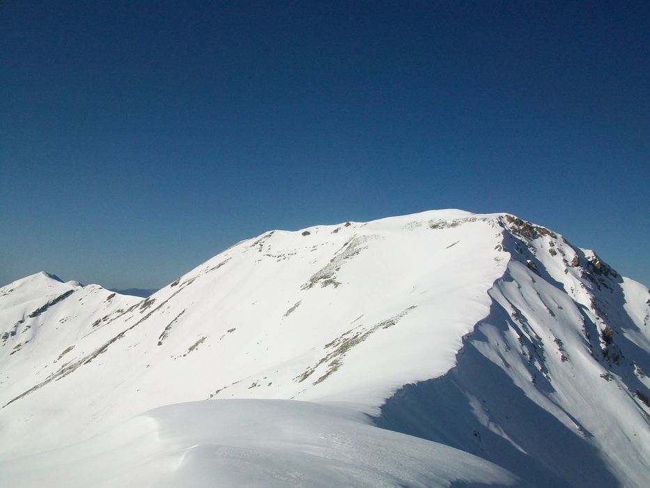 caduc_avril_2014_142.jpg