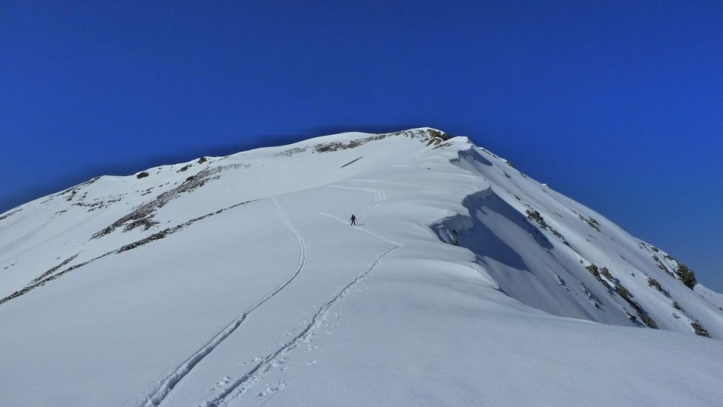 caduc_avril_2014_160.jpg