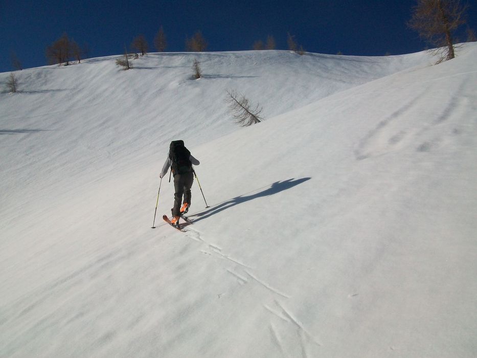 caduc_avril_2014_92.jpg