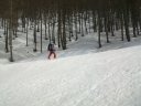 caduc_avril_2014_34.jpg