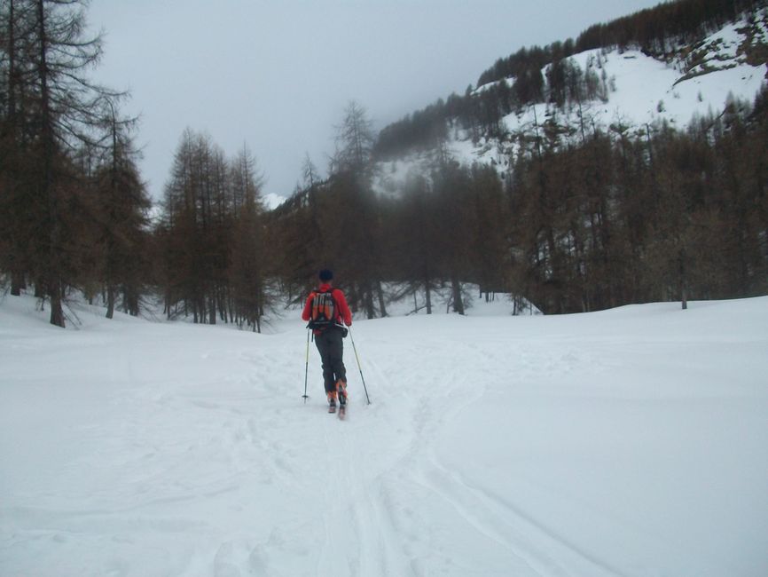 valdemars_fev_2013_022.jpg