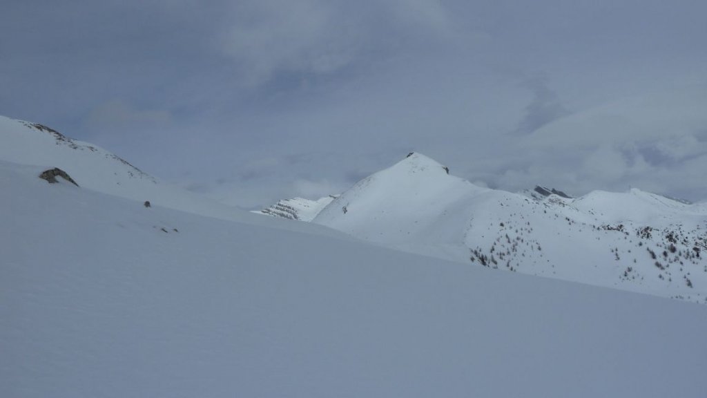 valdemars_fev_2013_090.jpg
