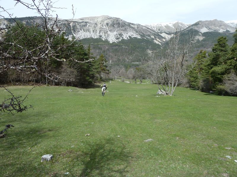 villars_heyssier_avril_2012_073.jpg