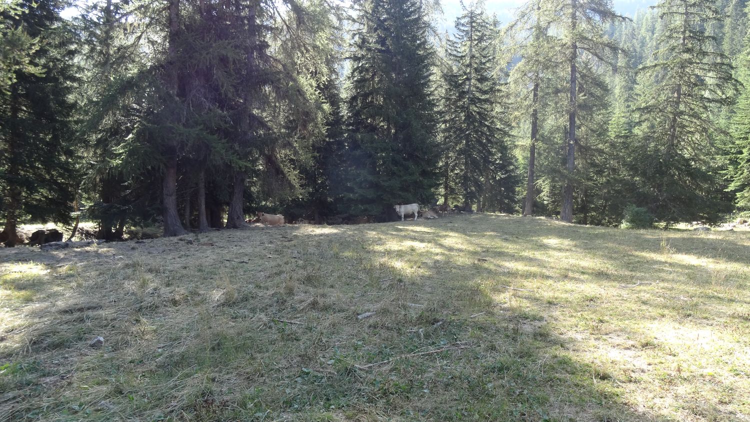 chabrieres_2020_012.JPG