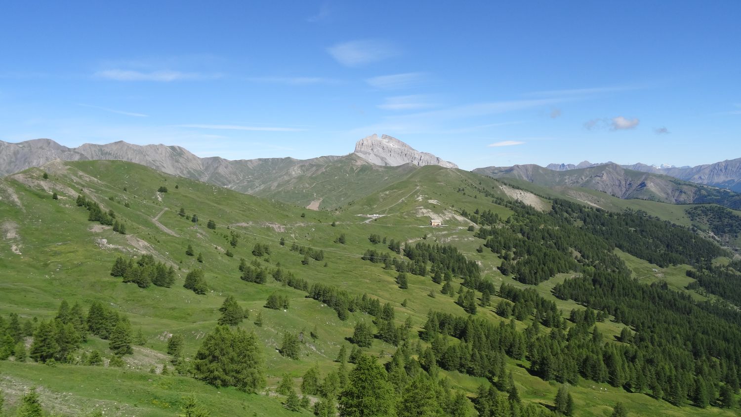 cheroueche_2020_010.JPG