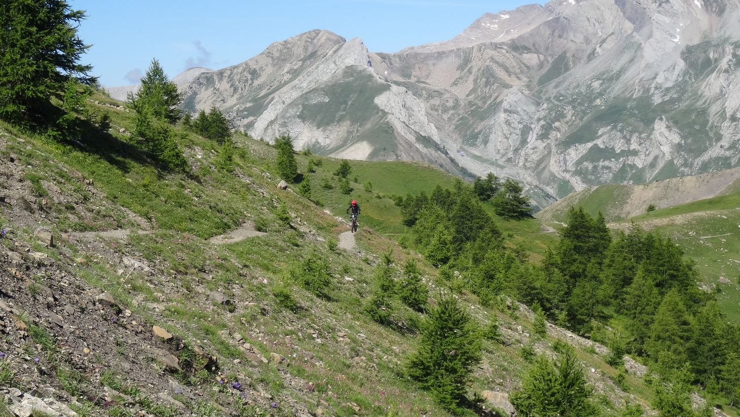 cheroueche_2020_011.JPG