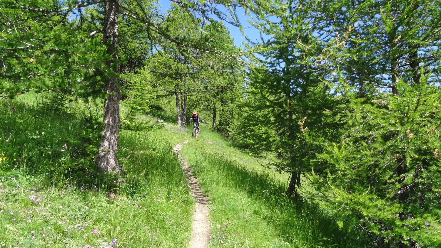 cheroueche_2020_015.JPG