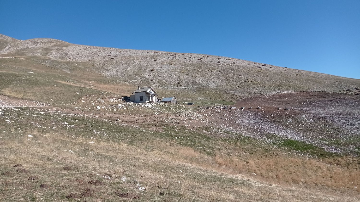 paluet_2021_03.jpg