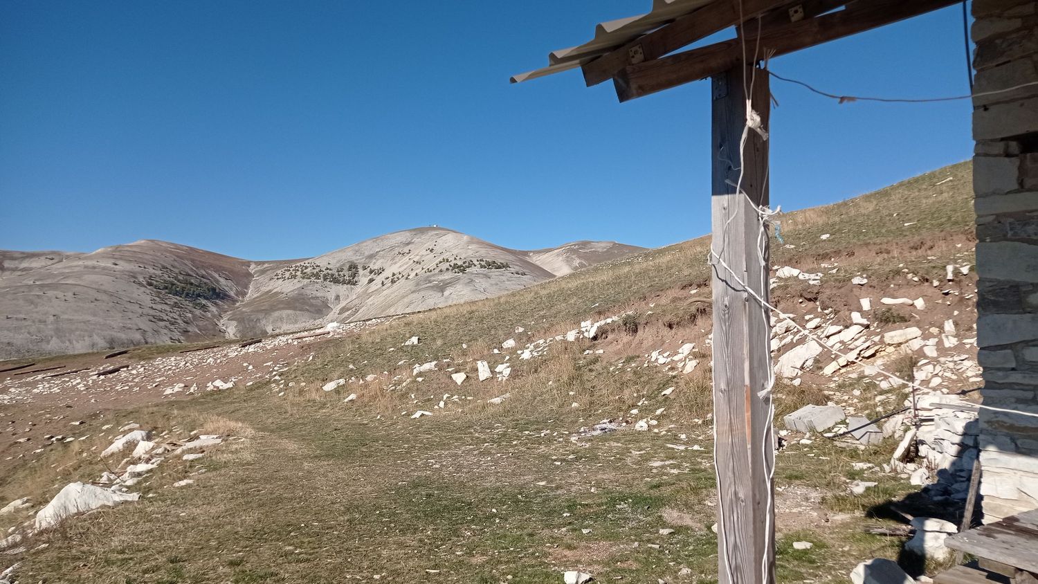 paluet_2021_07.jpg