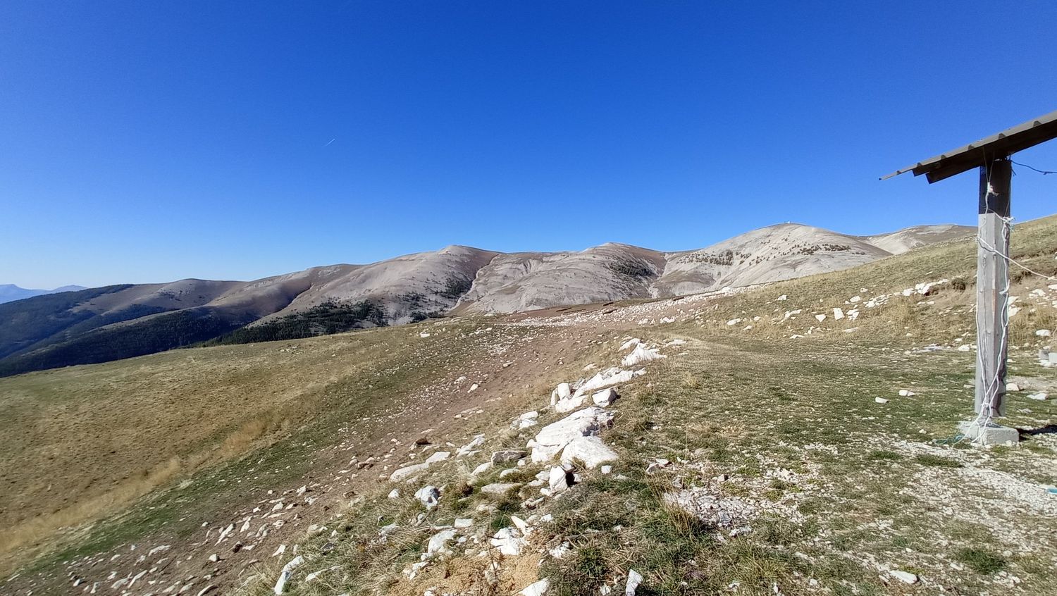 paluet_2021_17.jpg