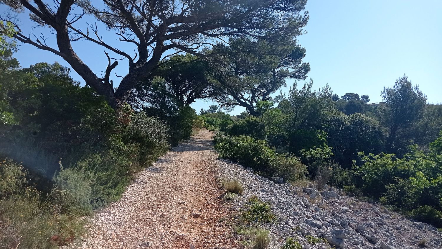chateauvallon_brousan_juin_2022_005.jpg