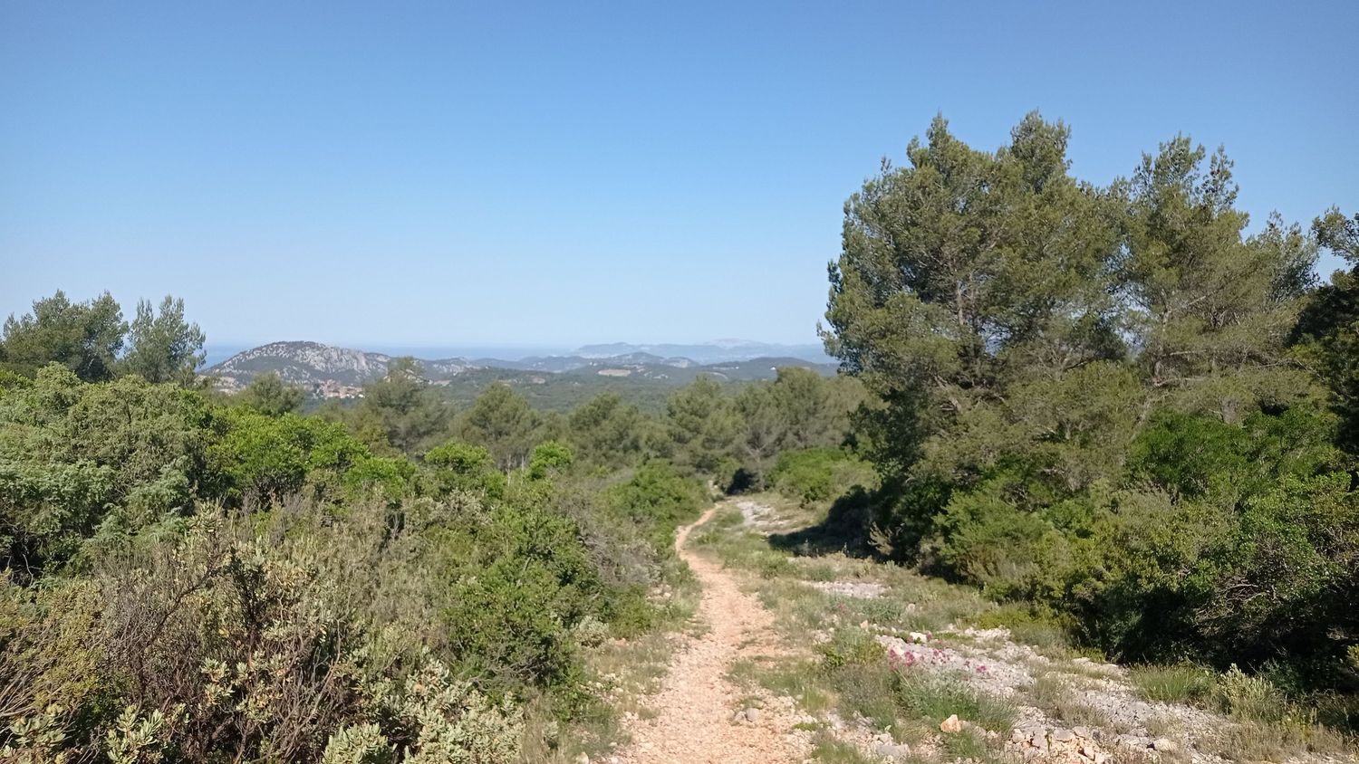 chateauvallon_brousan_juin_2022_009.jpg