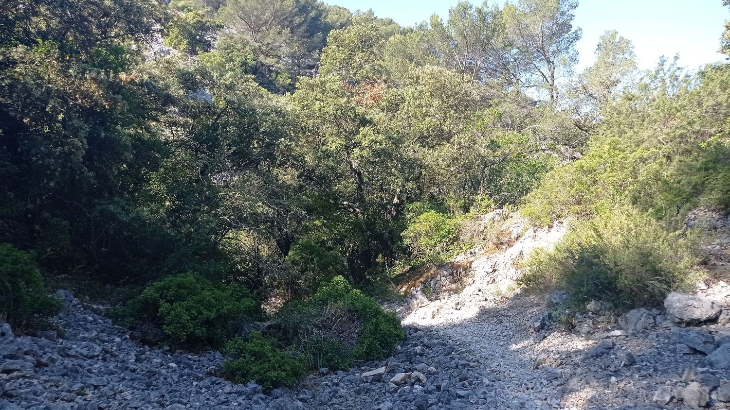 chateauvallon_brousan_juin_2022_010.jpg