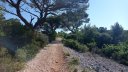 chateauvallon_brousan_juin_2022_005.jpg