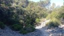 chateauvallon_brousan_juin_2022_010.jpg