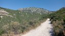 chateauvallon_brousan_juin_2022_016.jpg
