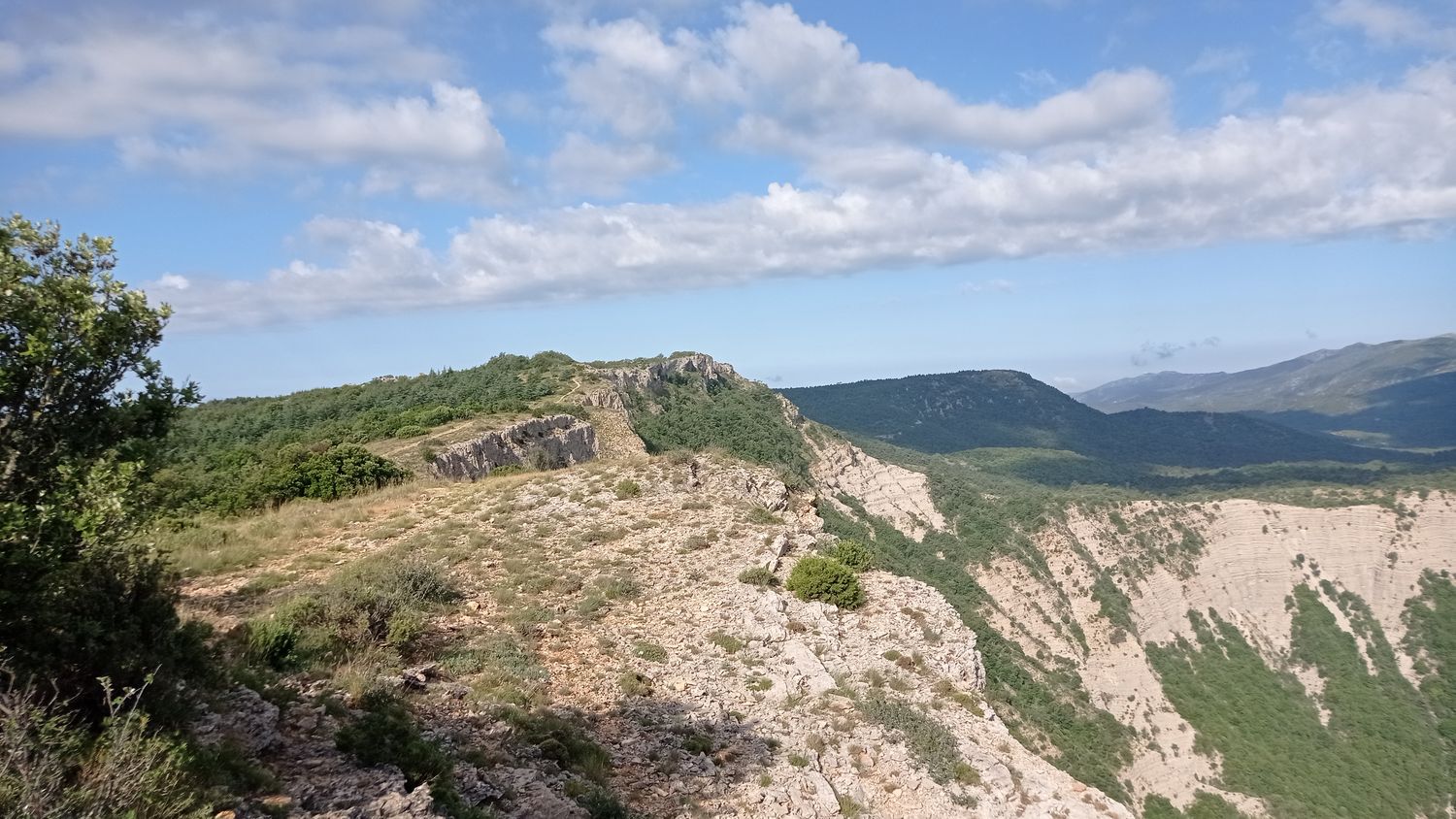 agnis_juin_21_010.jpg
